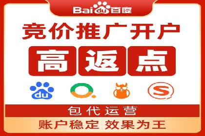 SEM托管公司案例分析：数据驱动决策